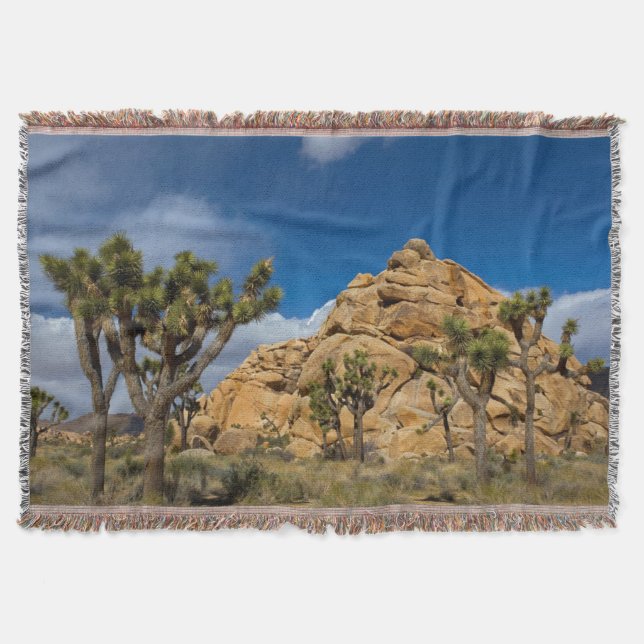 USA, Kalifornien, Joshua Tree National Park Decke (Vorderseite)