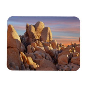 USA, Kalifornien, Joshua Tree National Park Magnet