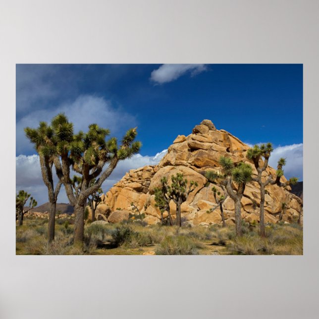 USA, Kalifornien, Joshua Tree National Park Poster (Vorne)