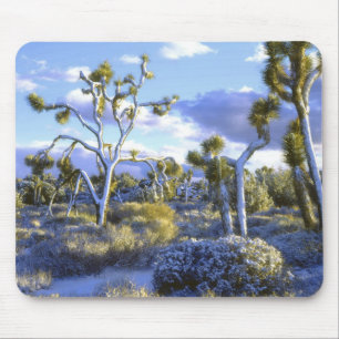 USA, Kalifornien, Joshua-Tree-Nationalpark. 2 Mousepad