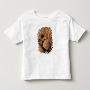 USA, Kalifornien, Joshua-Tree-Nationalpark. Kleinkind T-shirt