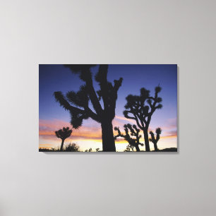 USA, Kalifornien, Joshua-Tree-Nationalpark, Leinwanddruck