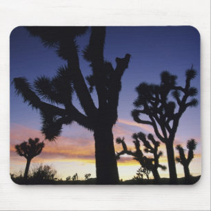 USA, Kalifornien, Joshua-Tree-Nationalpark, Mousepad