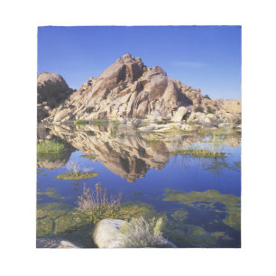 USA, Kalifornien, Joshua-Tree-Nationalpark, Notizblock