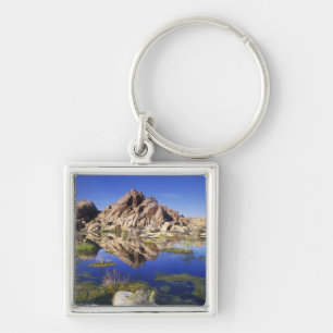 USA, Kalifornien, Joshua-Tree-Nationalpark, Schlüsselanhänger