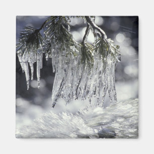 USA, Kalifornien, Lake Tahoe. Eiszapfen über Magnet