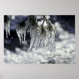 USA, Kalifornien, Lake Tahoe. Eiszapfen über Poster