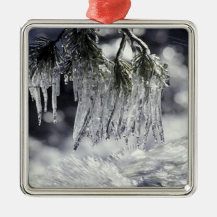 USA, Kalifornien, Lake Tahoe. Eiszapfen über Silbernes Ornament