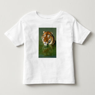 USA, Kalifornien, Los Angeles County. Bengalen Kleinkind T-shirt