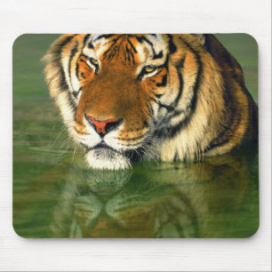USA, Kalifornien, Los Angeles County. Bengalen Mousepad