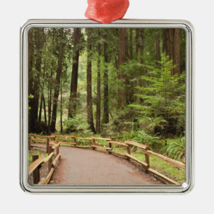 USA, Kalifornien, Marin County, Muir Woods Silbernes Ornament