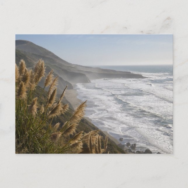 USA, Kalifornien, Mendocino Küste Postkarte (Vorderseite)