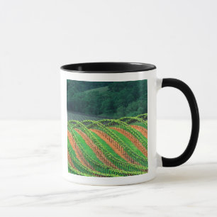 USA, Kalifornien, Mendocino Landkreis, ein getrick Tasse