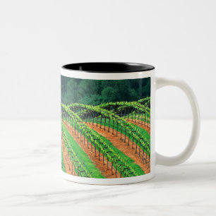 USA, Kalifornien, Mendocino Landkreis, ein getrick Zweifarbige Tasse