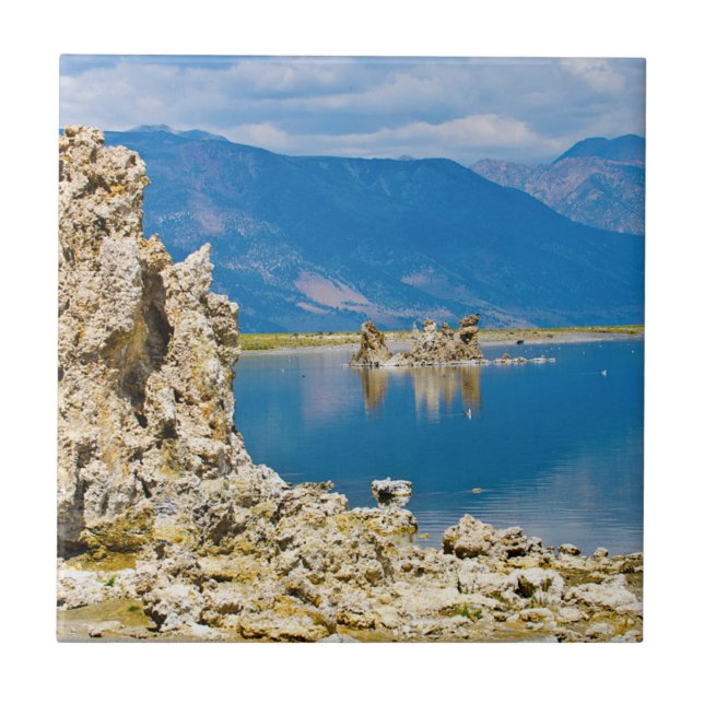 USA, Kalifornien, Mono Lake South Tufa Reserve Fliese (Vorderseite)