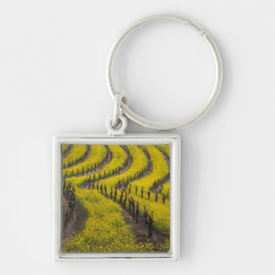USA, Kalifornien, Napa Valley, Los Carneros Ava. Schlüsselanhänger