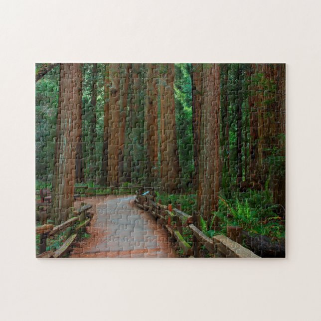 USA, Kalifornien. Pfad unter Redwood in Muir (Horizontal)