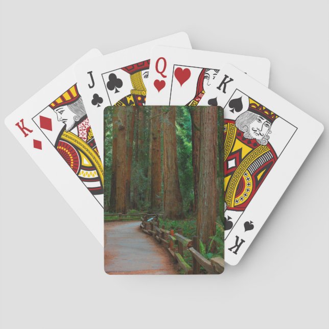 USA, Kalifornien. Pfad unter Redwood in Muir Spielkarten (Rückseite)