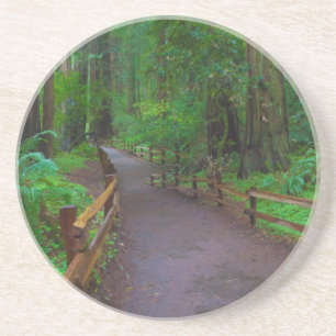 USA, Kalifornien. Pfad zwischen Redwoods Getränkeuntersetzer