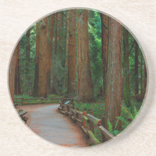 USA, Kalifornien. Pfad zwischen Redwoods in Muir Sandstein Untersetzer