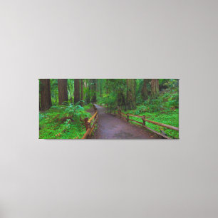 USA, Kalifornien. Pfad zwischen Redwoods Leinwanddruck