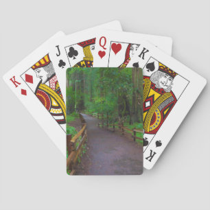 USA, Kalifornien. Pfad zwischen Redwoods Spielkarten