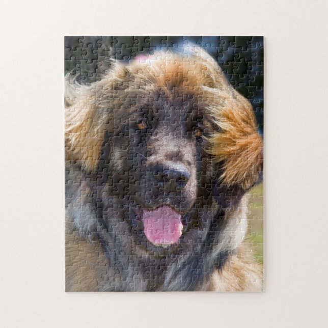 USA, Kalifornien. Portrait von Leonberger sitzend (Vertikal)