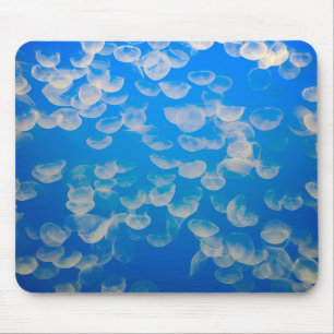 USA, Kalifornien. Quallen in der Monterey Bay Mousepad