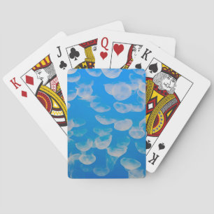 USA, Kalifornien. Quallen in der Monterey Bay Spielkarten