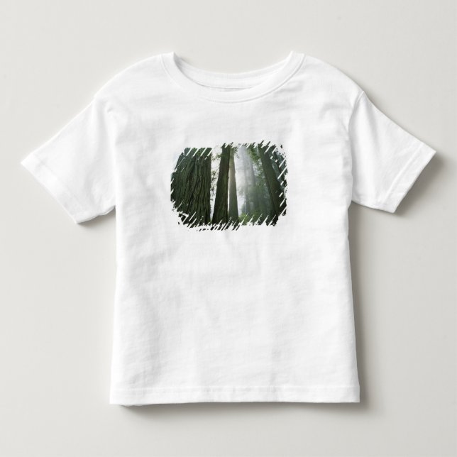 USA, Kalifornien, Redwood National Park, 2 Kleinkind T-shirt (Vorderseite)
