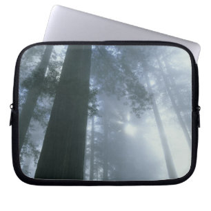 USA, Kalifornien, Redwood National Park, Del Laptopschutzhülle