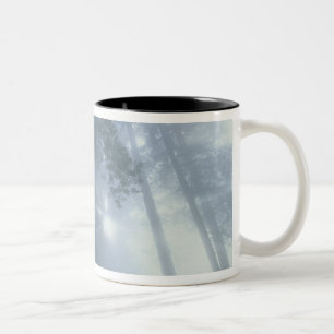 USA, Kalifornien, Redwood National Park, Del Zweifarbige Tasse