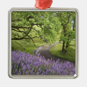 USA, Kalifornien, Redwood National Park. Erde Ornament Aus Metall