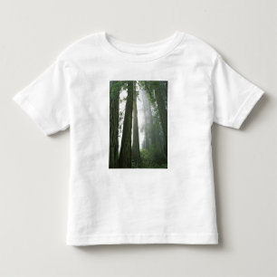 USA, Kalifornien, Redwood National Park. Kleinkind T-shirt