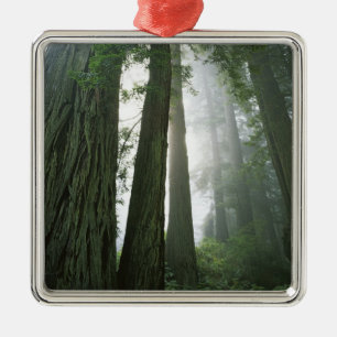 USA, Kalifornien, Redwood-Nationalpark, 2 Ornament Aus Metall