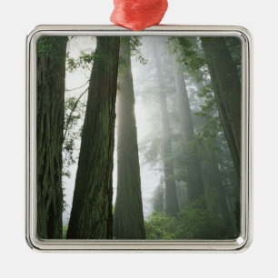 USA, Kalifornien, Redwood-Nationalpark, Ornament Aus Metall