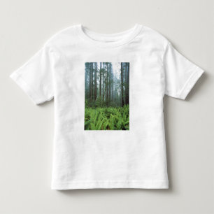 USA, Kalifornien, Redwood NP. Farne und Kleinkind T-shirt