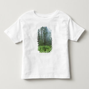 USA, Kalifornien, Redwood NP. Farne und Kleinkind T-shirt
