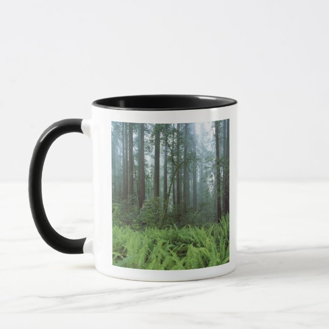 USA, Kalifornien, Redwood NP. Ferns und Tasse (Links)