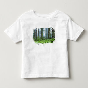 USA, Kalifornien, Redwood NP. Redwood-Bäume Kleinkind T-shirt
