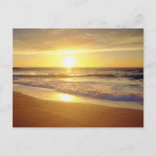USA, Kalifornien, San Diego. La Jolla-Küste Postkarte