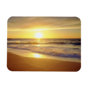 USA, Kalifornien, San Diego. La Jolla Shores Magnet