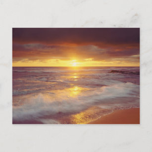 USA, Kalifornien, San Diego. Sunset Cliffs Beach Postkarte