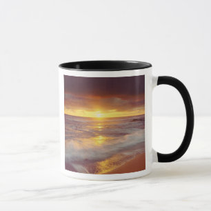 USA, Kalifornien, San Diego. Sunset Cliffs Strand Tasse