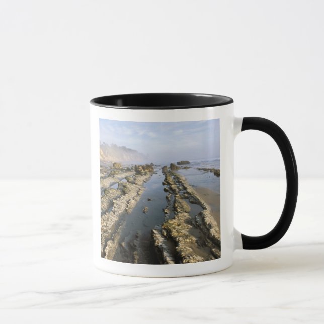 USA, Kalifornien, Santa Barbara, Henry's Beach. Tasse (Rechts)