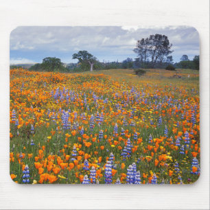 USA, Kalifornien, Santa Margarita, Avenales Mousepad