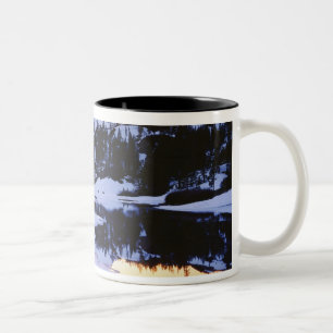 USA, Kalifornien, Sierra Nevada.Das Zweifarbige Tasse