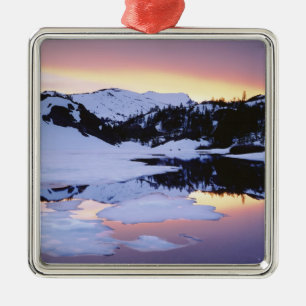 USA, Kalifornien, Sierra Nevada-Gebirge. Die Silbernes Ornament