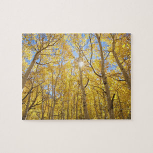 USA, Kalifornien, Sierra Nevada-Gebirge. Herbst