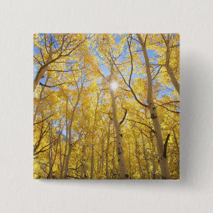 USA, Kalifornien, Sierra Nevada-Gebirge. Herbst Button